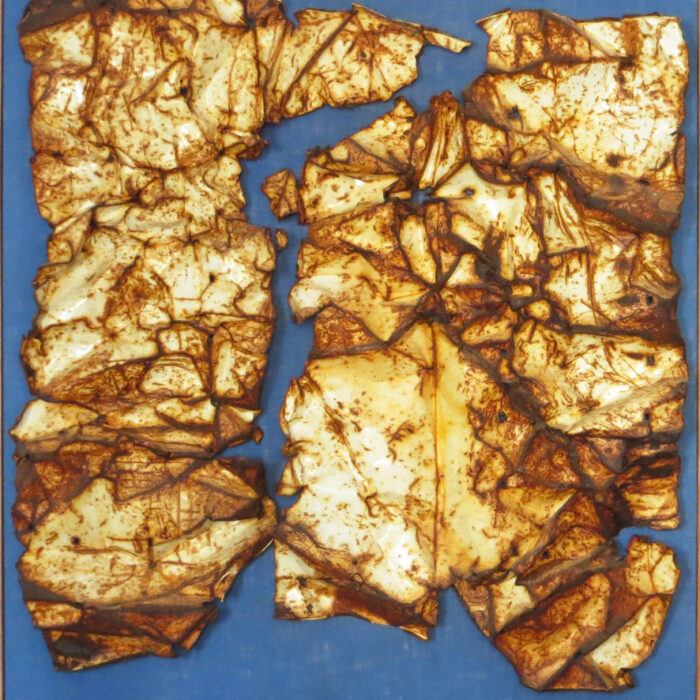 Foto der Arbeit Das Gewand